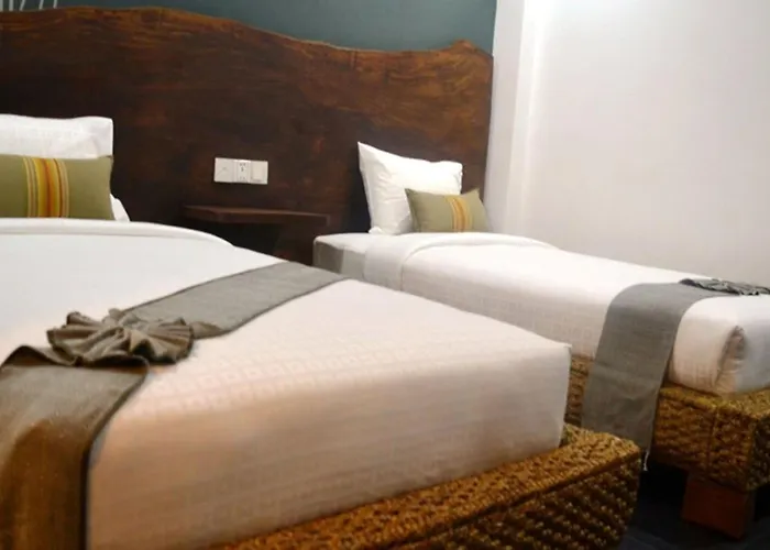 Deluxe  Without Window Twin Room